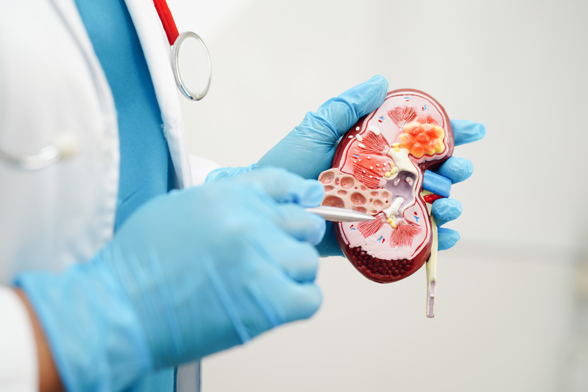 diamed-urology-1